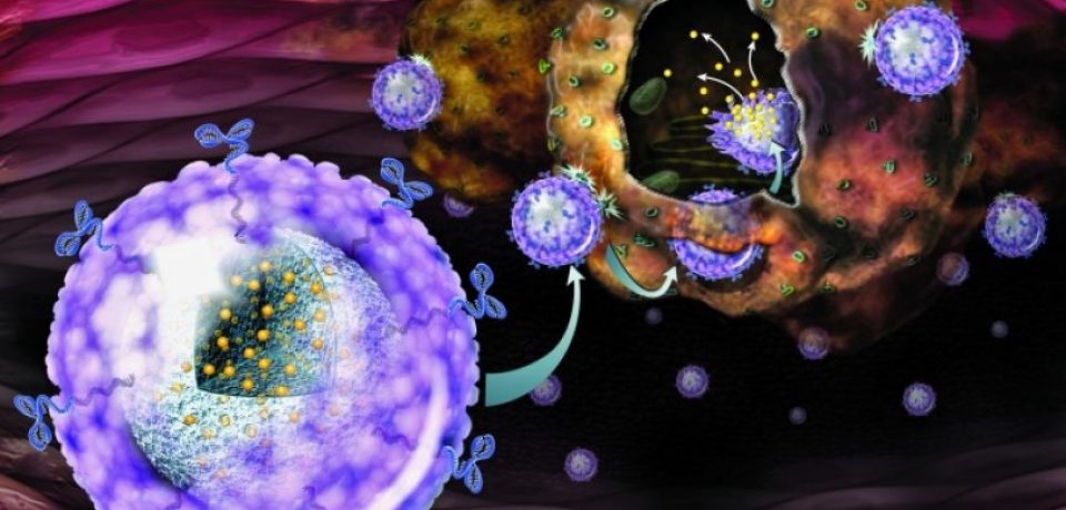 Наночастицы пробуждают иммунные клетки для борьбы с раком
