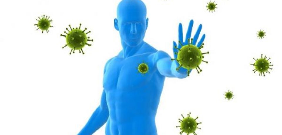 Кишечные бактерии помогают иммунитету бороться с раком
