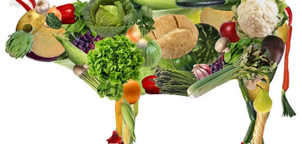 О плюсах и минусах вегетарианства