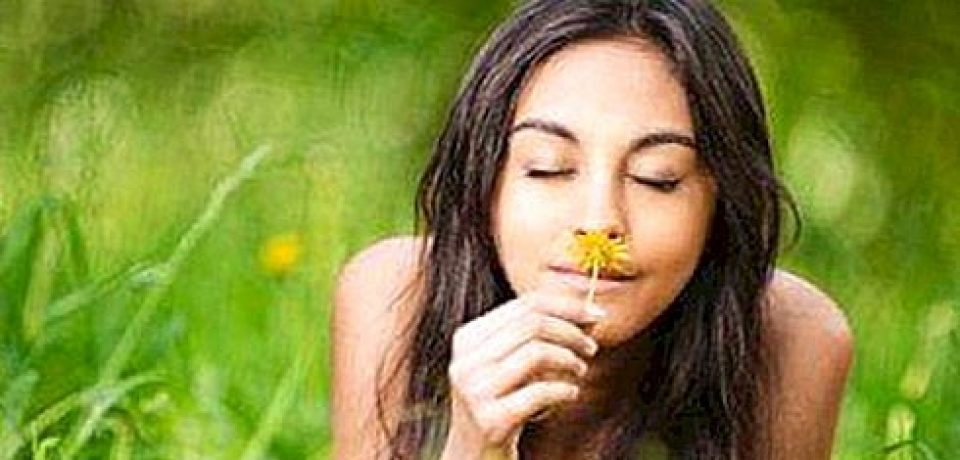 Как запахи влияют на здоровье