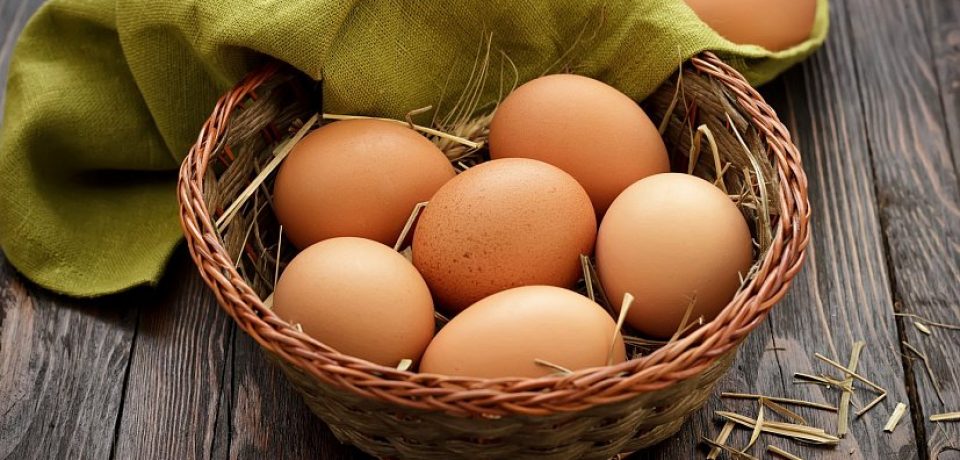 Куриные яйца вместо лекарств
