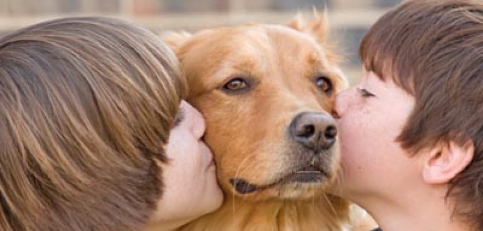Что говорит наука о пользе домашних животных и любви к ним